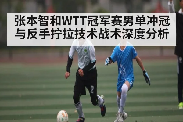 张本智和WTT冠军赛男单冲冠与反手拧拉技术战术深度分析